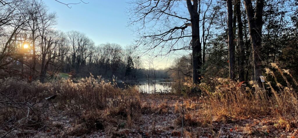 connection in nature forest mountain lakes princeton new jersey