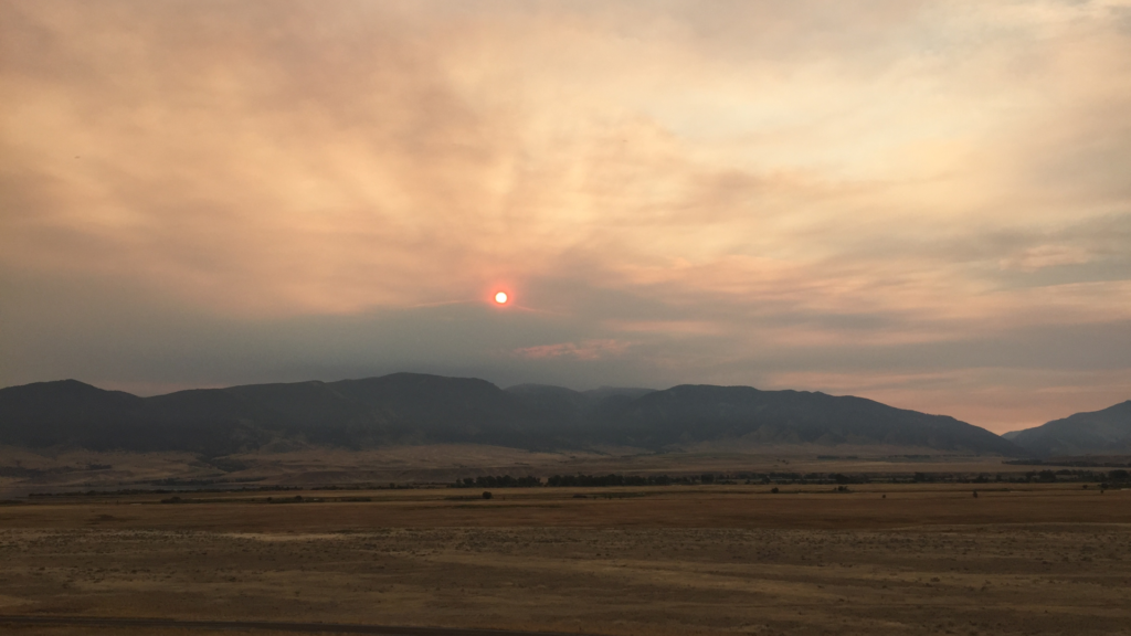 Grace in Ennis Montana sunrise